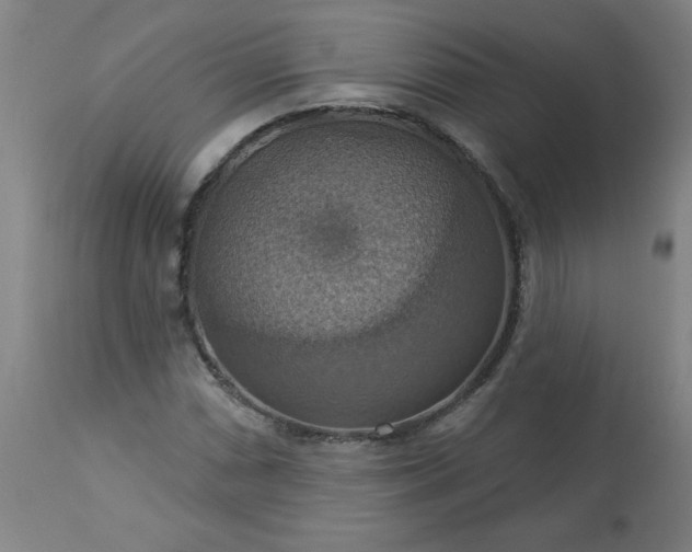 X0000113231066200909241517