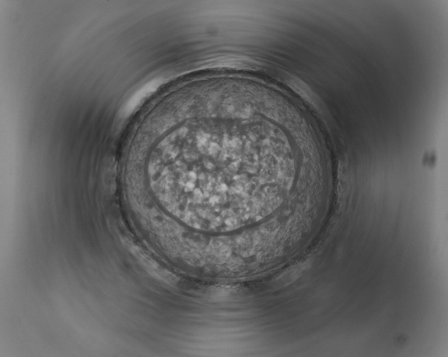 X0000113231067200909241517