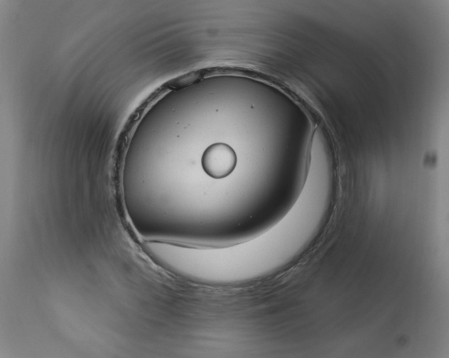 X0000113231068200909241517