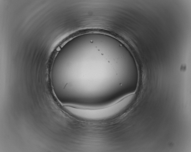 X0000113231069200909241517