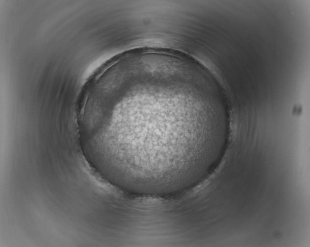 X0000113231070200909241517