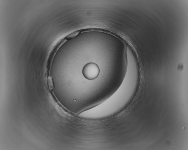 X0000113231072200909241517