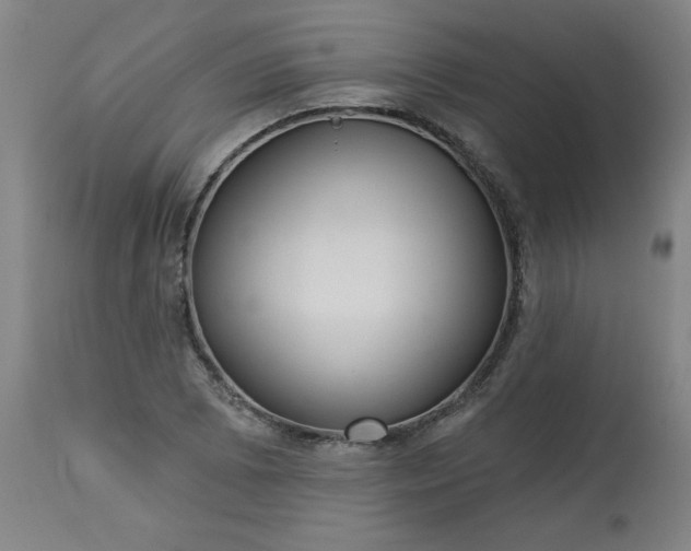 X0000113231073200909241517