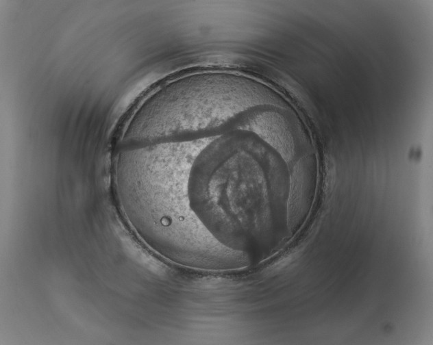 X0000113231075200909241517