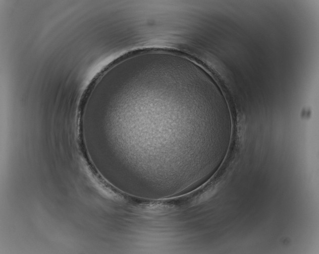 X0000113231077200909241517