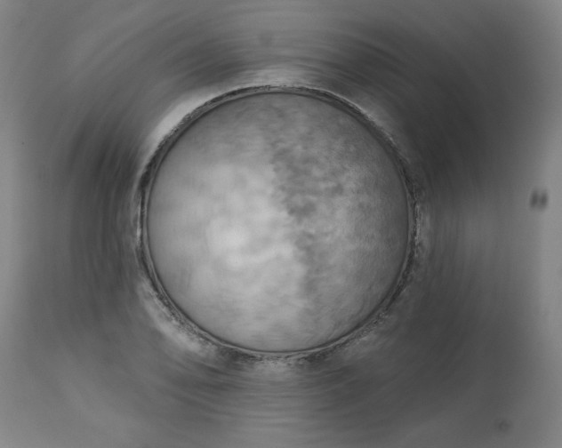 X0000113231078200909241517