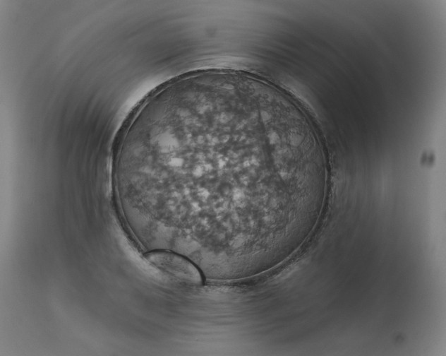 X0000113231079200909241517