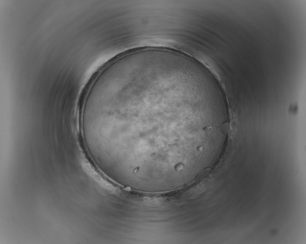 X0000113231080200909241517