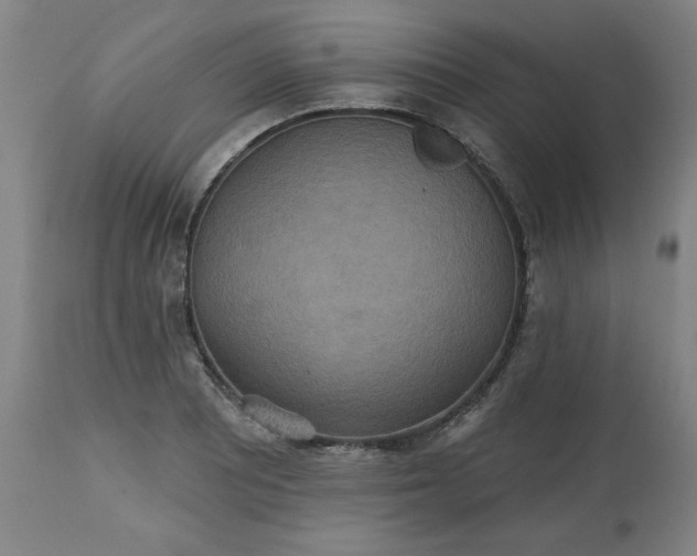 X0000113231081200909241517