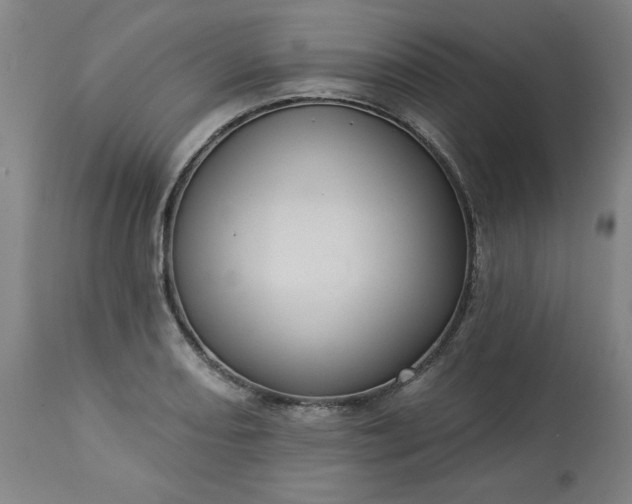 X0000113231082200909241517