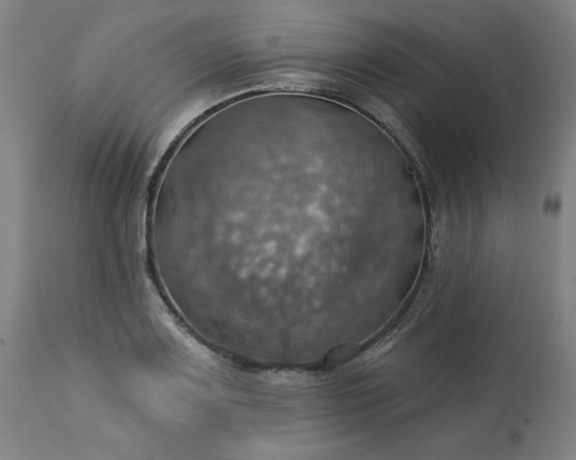 X0000113231083200909241517