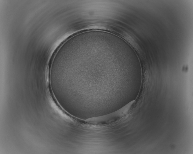 X0000113231084200909241517