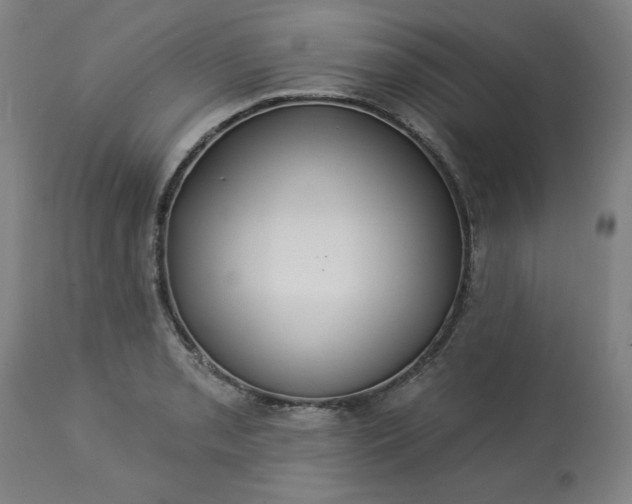 X0000113231085200909241517