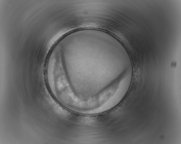 X0000113231086200909241517