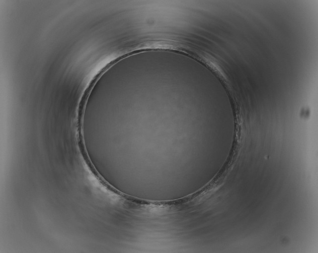 X0000113231087200909241517