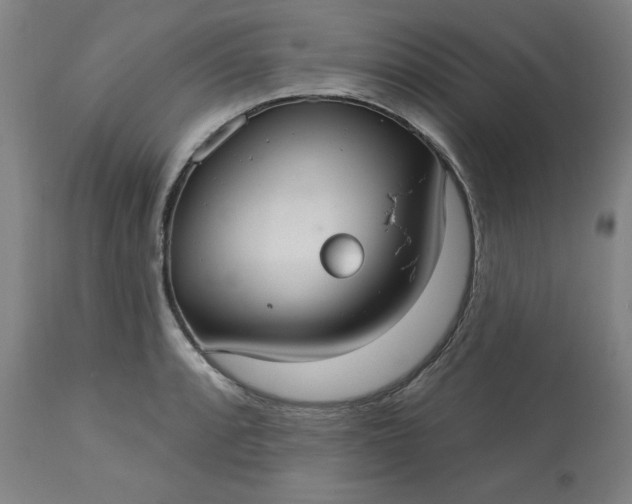 X0000113231088200909241517