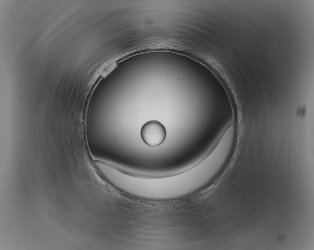 X0000113231089200909241517