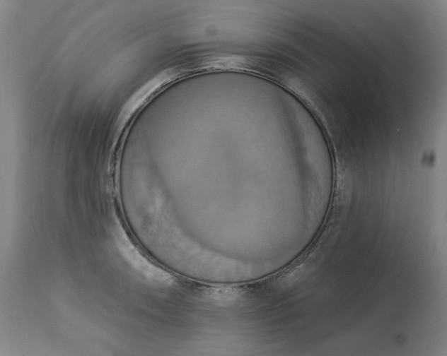 X0000113231090200909241517