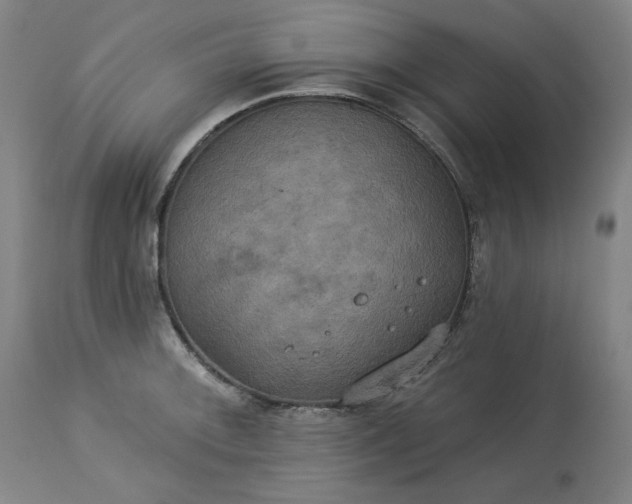 X0000113231092200909241517