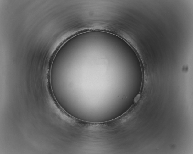 X0000113231093200909241517