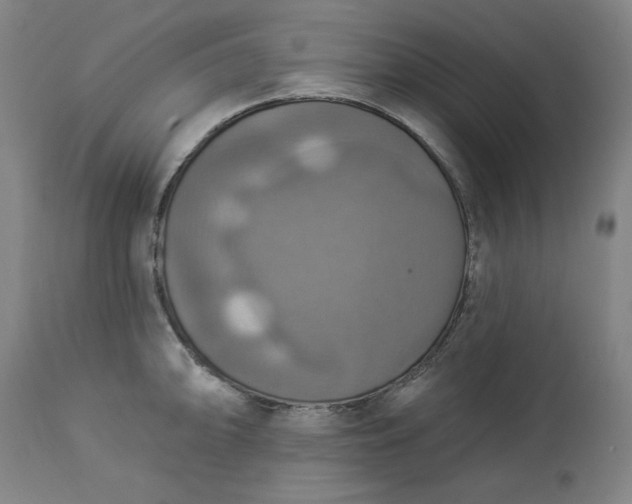 X0000113231094200909241517