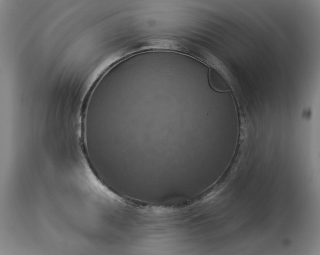 X0000113231095200909241517