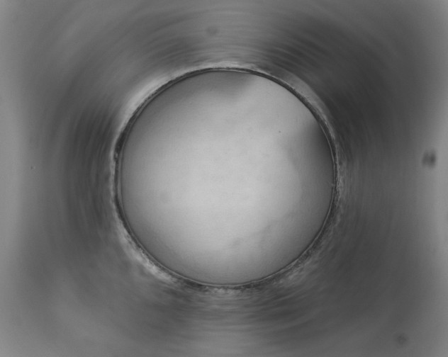 X0000113231096200909241517