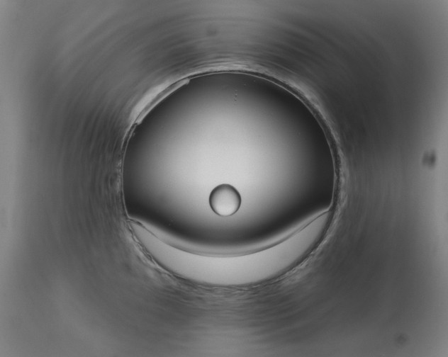 X0000113231097200909241517