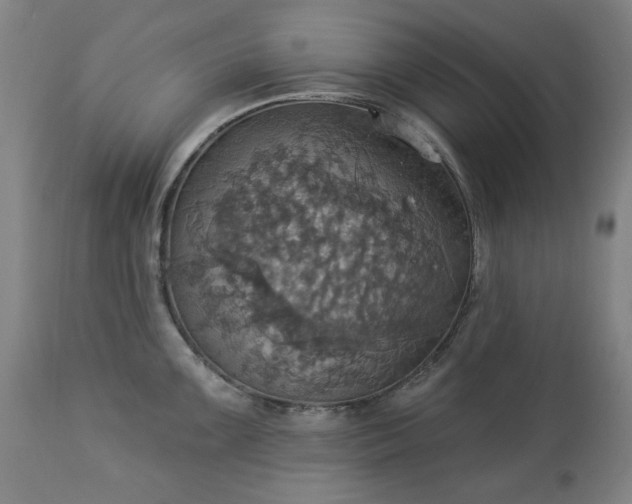 X0000113231099200909241516