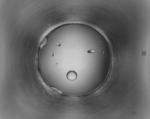 X0000113231101200909241516