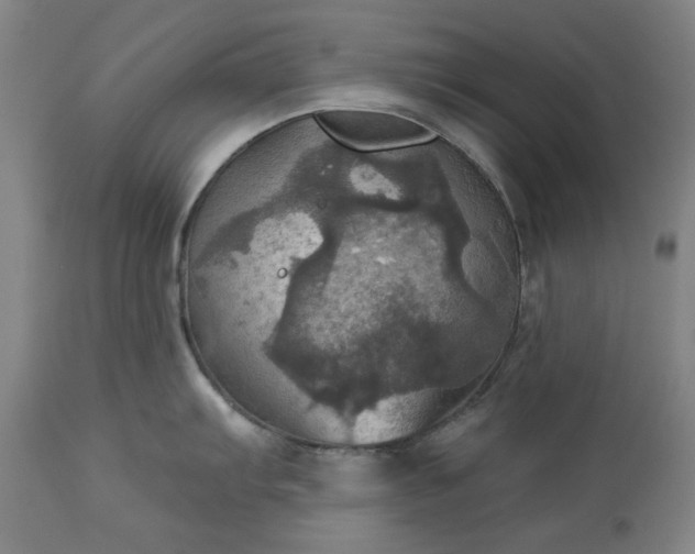 X0000113231103200909241516