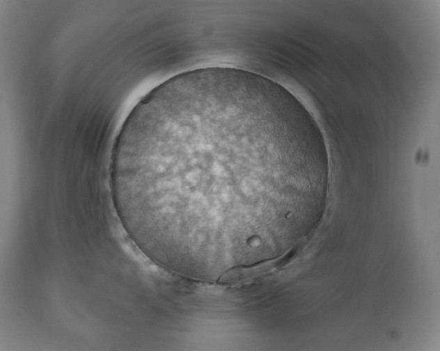 X0000113231104200909241516