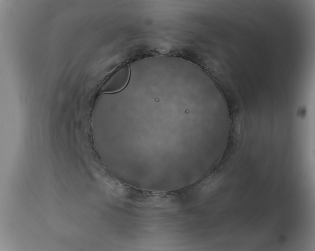 X0000113231105200909241516