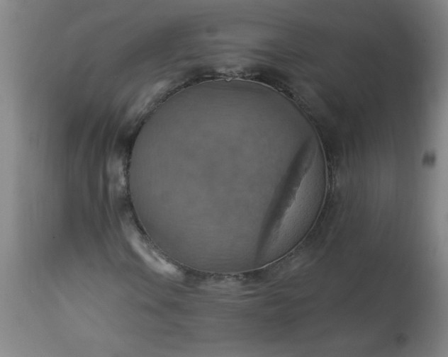 X0000113231106200909241516