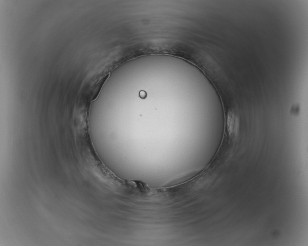 X0000113231107200909241516