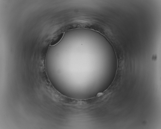 X0000113231109200909241516