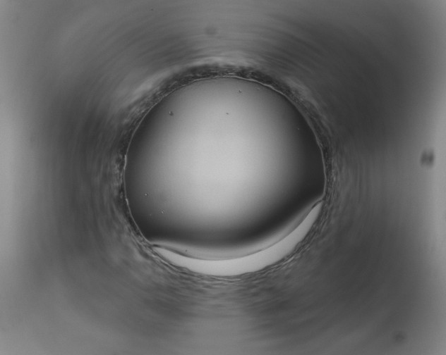 X0000113231110200909241516