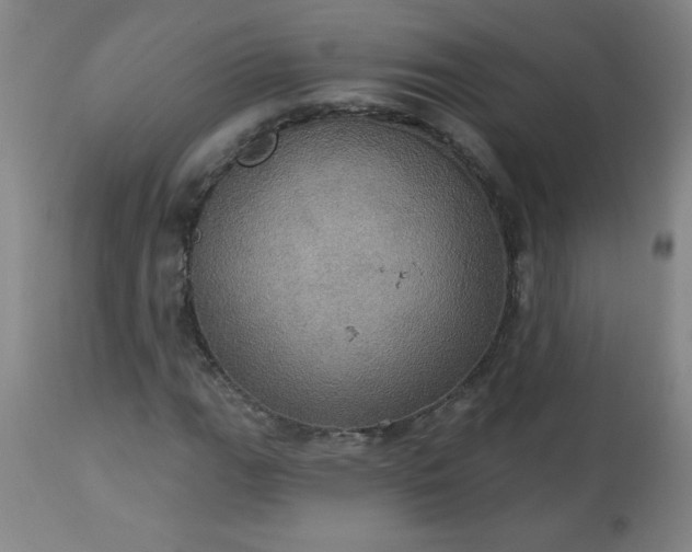 X0000113231111200909241516