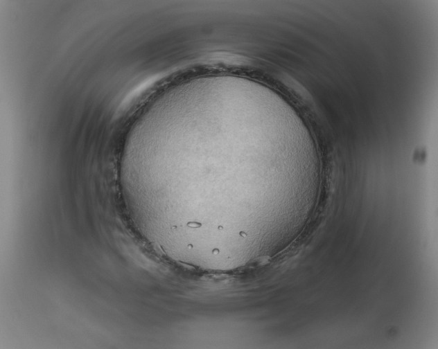 X0000113231112200909241516