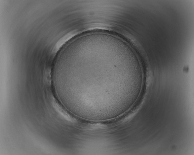 X0000113231113200909241516