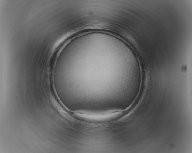 X0000113231114200909241516