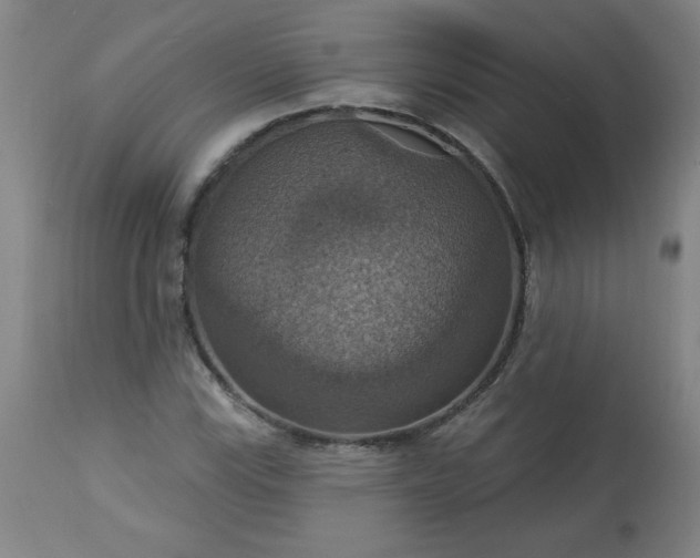 X0000113231115200909241516