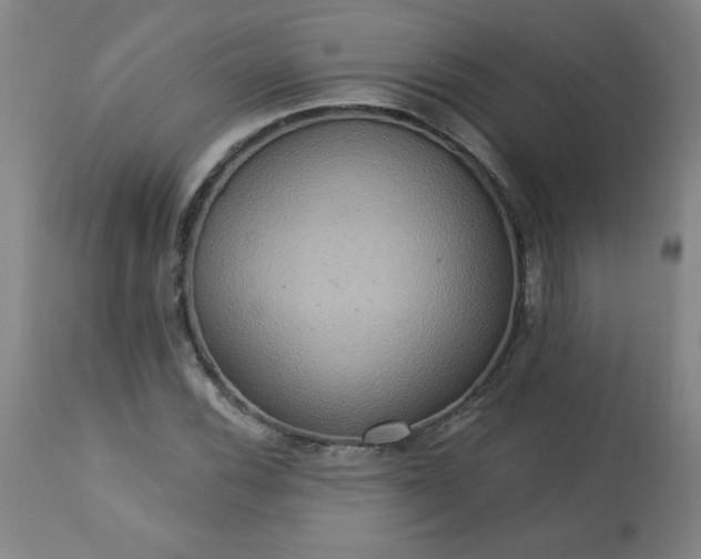 X0000113231116200909241516