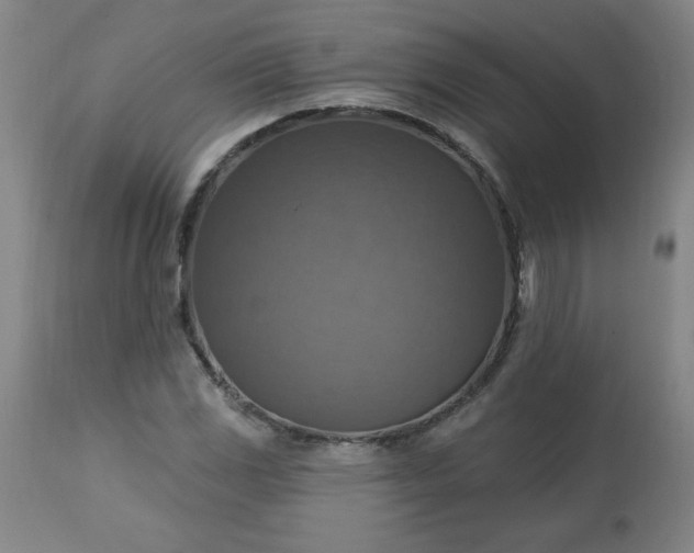 X0000113231117200909241516