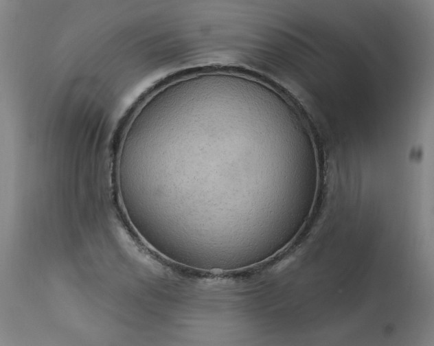 X0000113231118200909241516