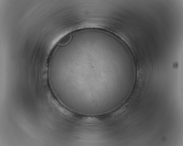 X0000113231119200909241516