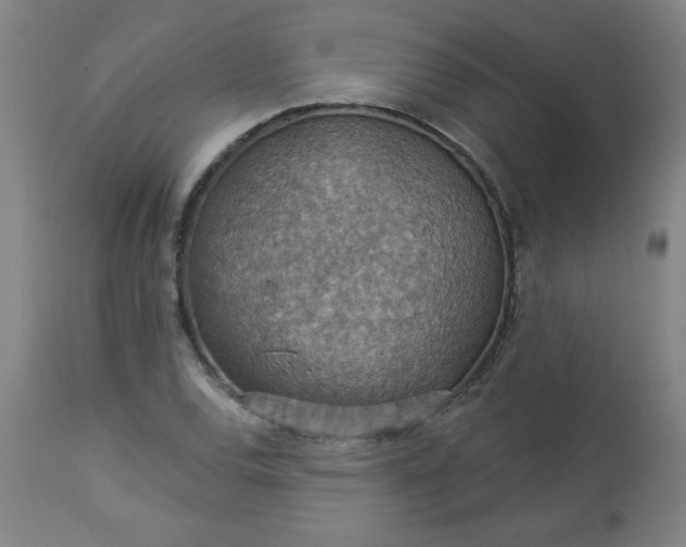 X0000113231120200909241516