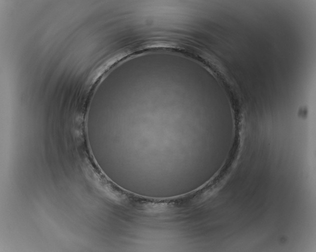 X0000113231121200909241516