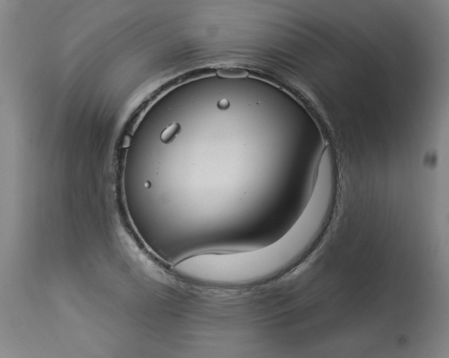 X0000113231122200909241516