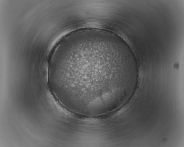 X0000113231123200909241516